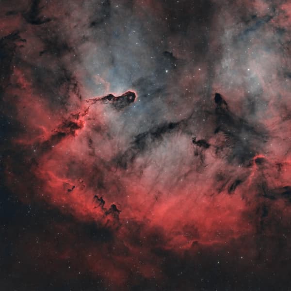 The Elephants Trunk Nebula in HOO