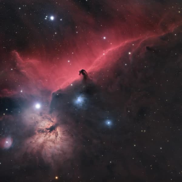 The Horsehead and Flame Nebula