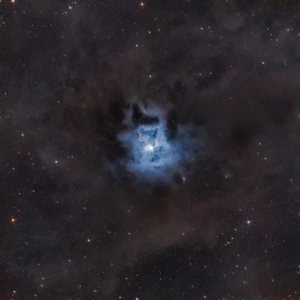 The Iris Nebula