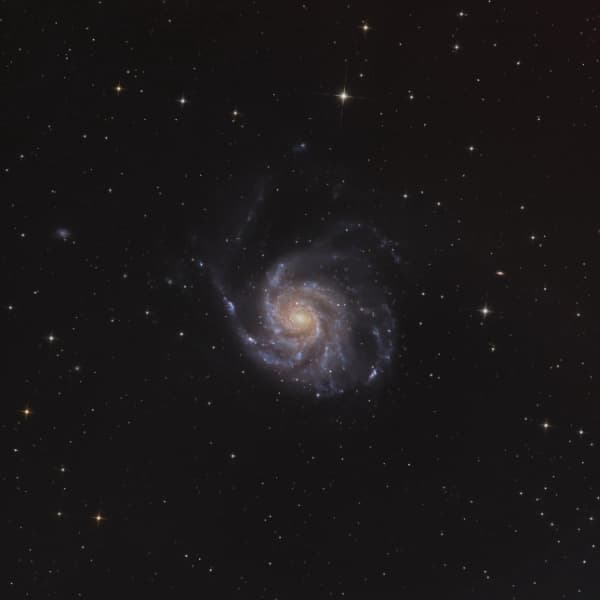 The Pinwheel Galaxy