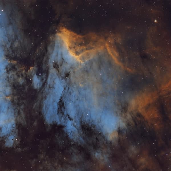 The Pelican Nebula