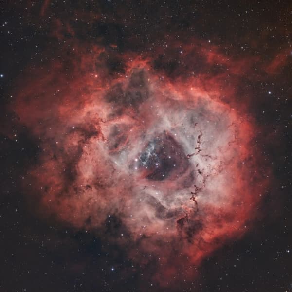 The Rosette Nebula