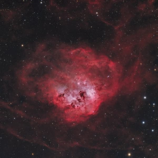 The Tadpoles Nebula