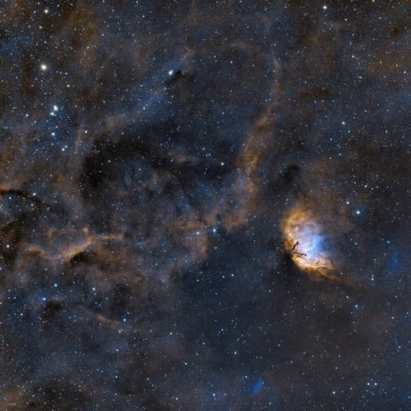 The Tulip Nebula