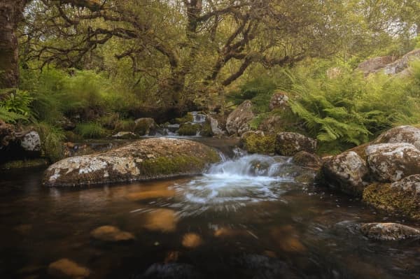 Looking Upstream