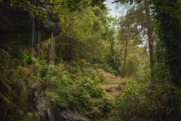 Waterfall with a View thumbnail